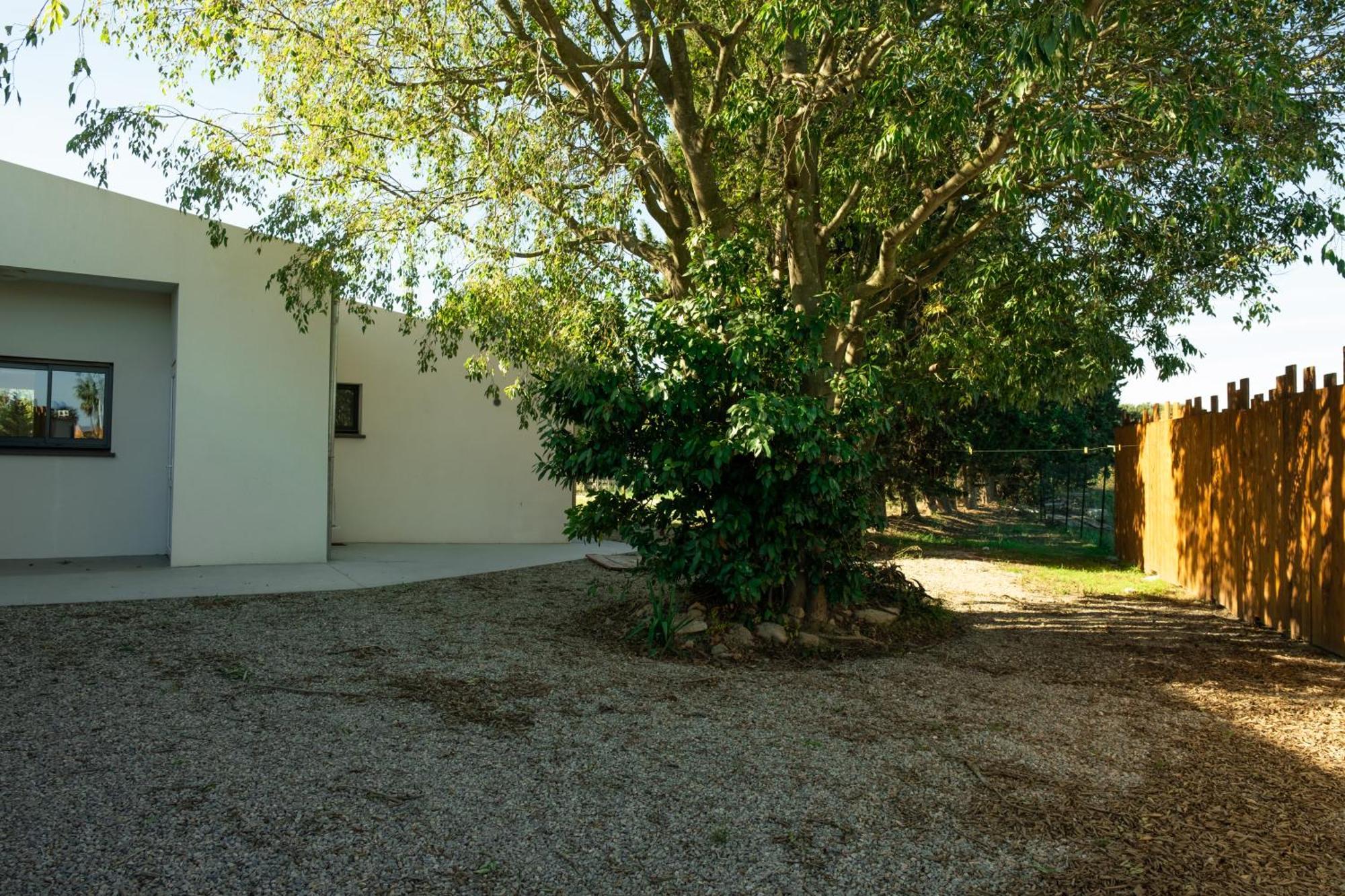 Willa Domaine Saint Thomas Argelès-sur-Mer Zewnętrze zdjęcie
